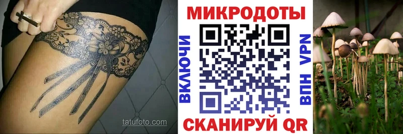 Псилоцибиновые грибы Psilocybe  Сенгилей 