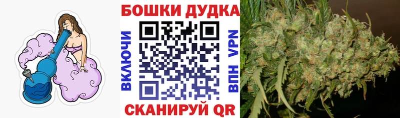 ссылка на мегу как зайти  Сенгилей  Канабис OG Kush  хочу наркоту 